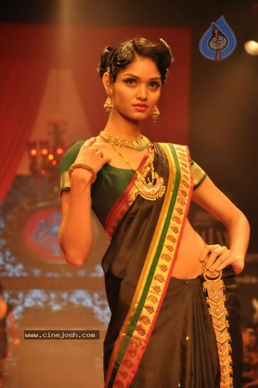 Celebs Walk the Ramp at IIJW 2011 Fashion Show - 107 / 137 photos