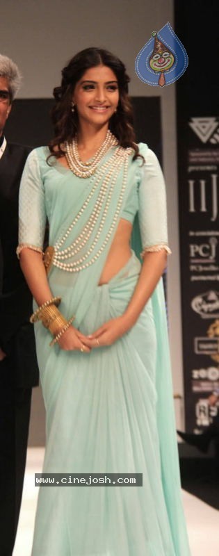 Celebs Walk the Ramp at IIJW 2011 Fashion Show - 111 / 137 photos