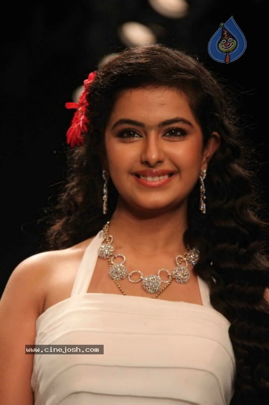 Celebs Walk the Ramp at IIJW 2011 Fashion Show - 123 / 137 photos