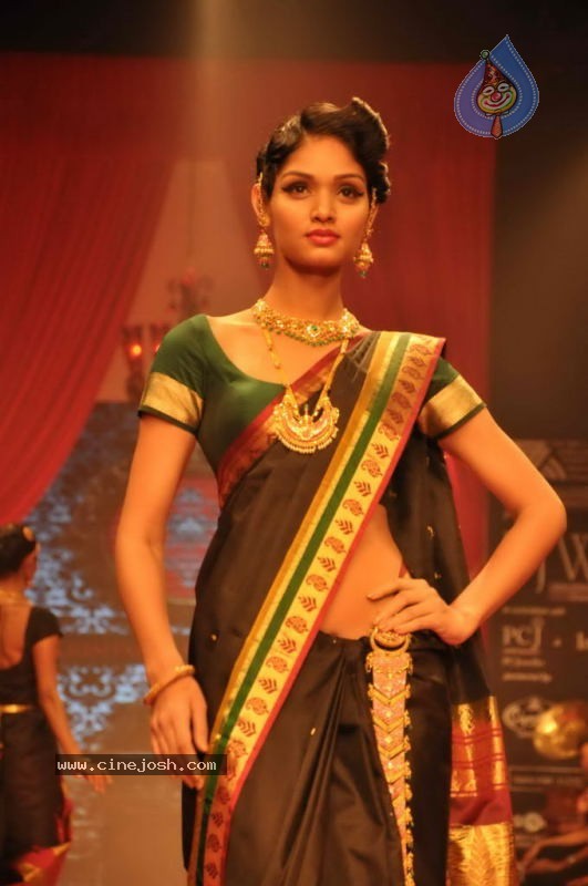 Celebs Walk the Ramp at IIJW 2011 Fashion Show - 135 / 137 photos