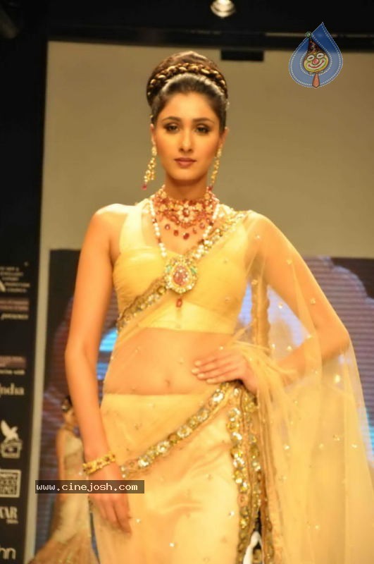 Celebs Walk the Ramp at IIJW 2011 Fashion Show Day 2 - 25 / 113 photos