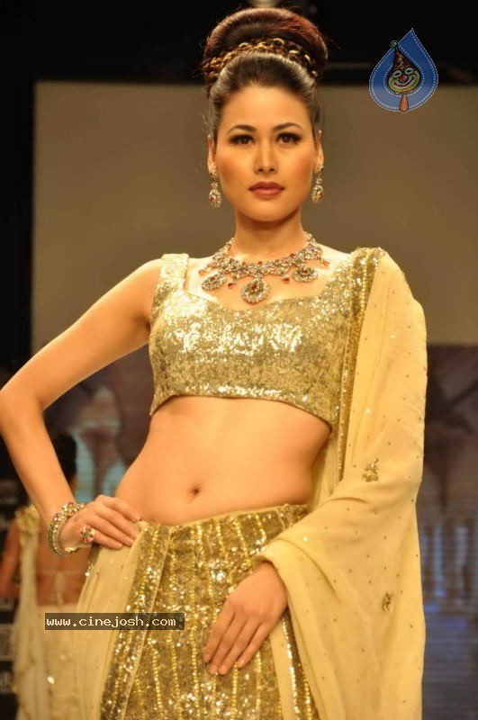 Celebs Walk the Ramp at IIJW 2011 Fashion Show Day 2 - 26 / 113 photos