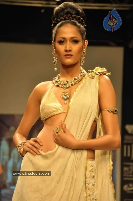 Celebs Walk the Ramp at IIJW 2011 Fashion Show Day 2 - 41 / 113 photos