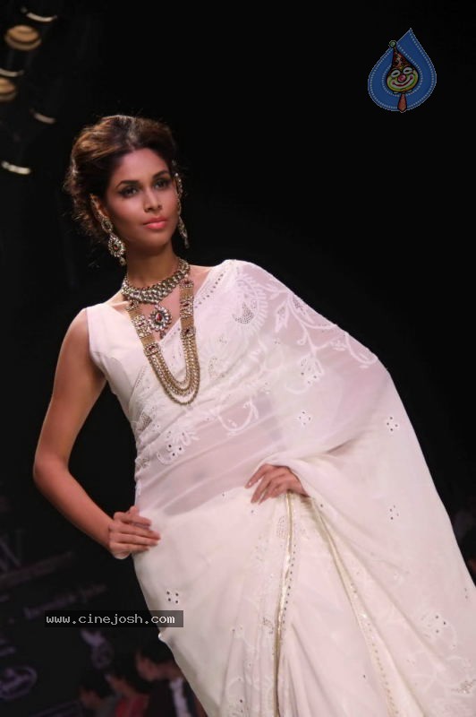 Celebs Walk the Ramp at IIJW 2011 Fashion Show Day 2 - 45 / 113 photos