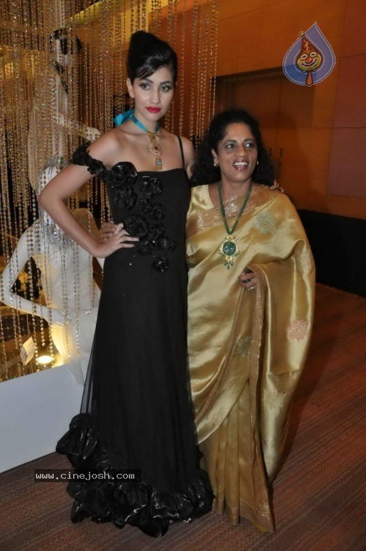 Celebs Walk the Ramp at IIJW 2011 Fashion Show Day 2 - 46 / 113 photos