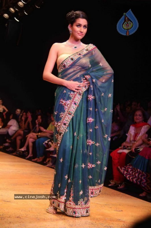 Celebs Walk the Ramp at IIJW 2011 Fashion Show Day 2 - 47 / 113 photos