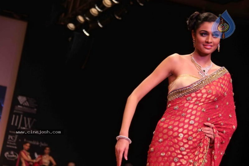 Celebs Walk the Ramp at IIJW 2011 Fashion Show Day 2 - 48 / 113 photos