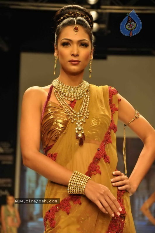 Celebs Walk the Ramp at IIJW 2011 Fashion Show Day 2 - 51 / 113 photos