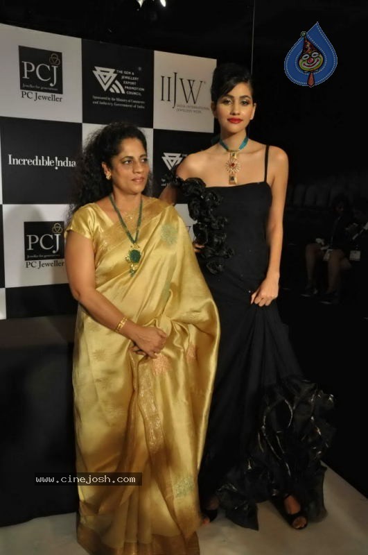Celebs Walk the Ramp at IIJW 2011 Fashion Show Day 2 - 60 / 113 photos