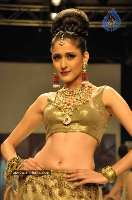 Celebs Walk the Ramp at IIJW 2011 Fashion Show Day 2 - 67 / 113 photos