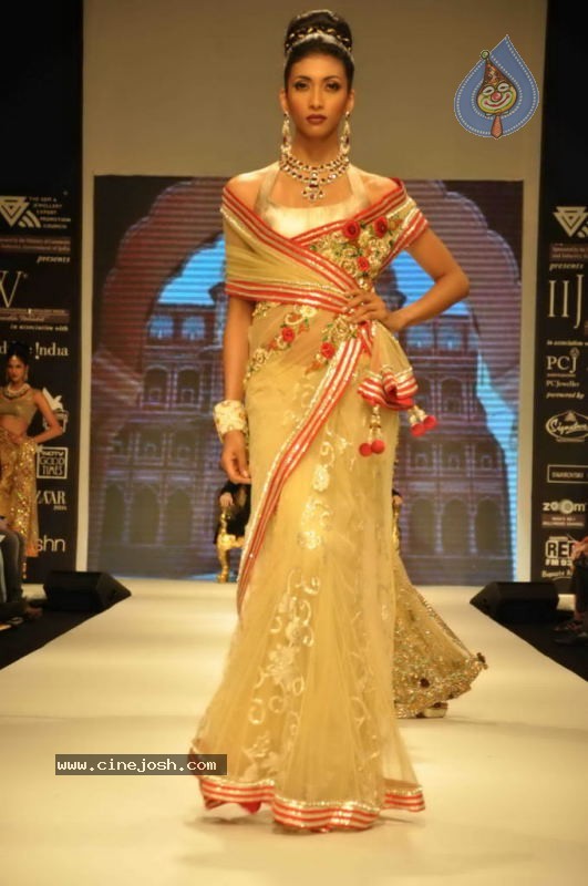 Celebs Walk the Ramp at IIJW 2011 Fashion Show Day 2 - 69 / 113 photos