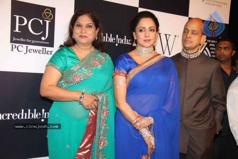 Celebs Walk the Ramp at IIJW 2011 Fashion Show Day 2 - 71 / 113 photos