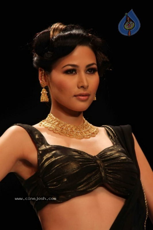 Celebs Walk the Ramp at IIJW 2011 Fashion Show Day 2 - 73 / 113 photos