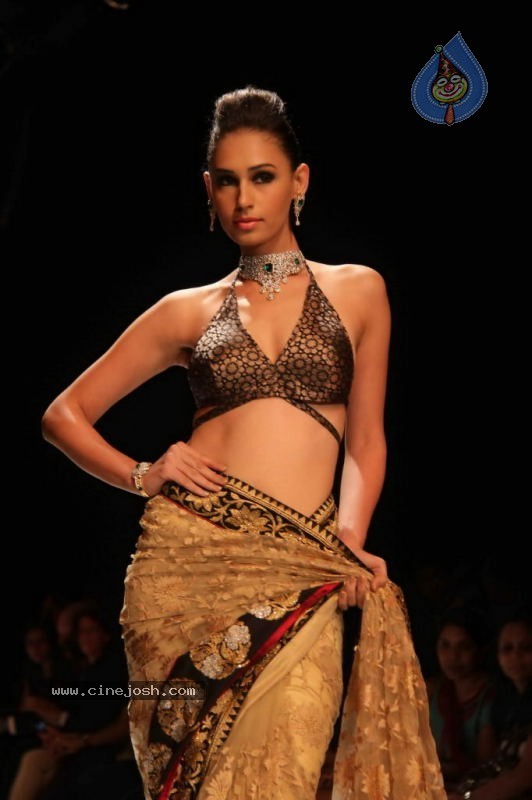 Celebs Walk the Ramp at IIJW 2011 Fashion Show Day 2 - 88 / 113 photos