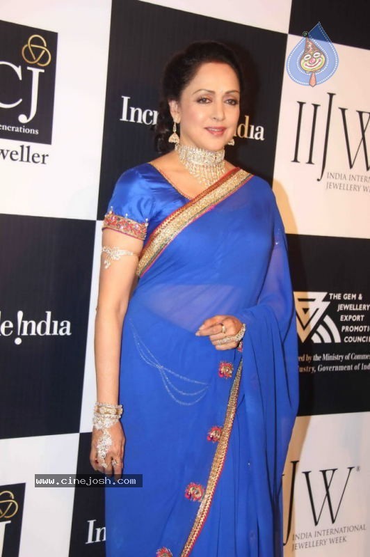 Celebs Walk the Ramp at IIJW 2011 Fashion Show Day 2 - 95 / 113 photos