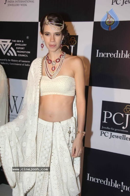 Celebs Walk the Ramp at IIJW 2011 Fashion Show Day 2 - 96 / 113 photos