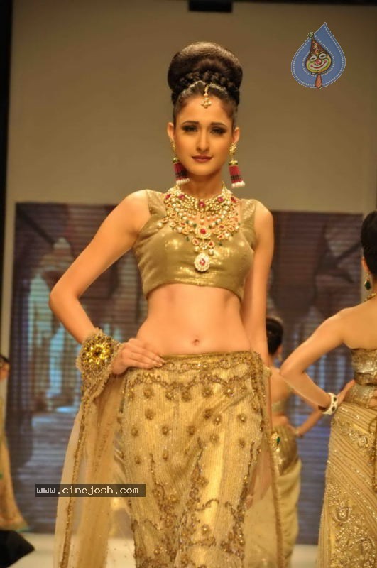 Celebs Walk the Ramp at IIJW 2011 Fashion Show Day 2 - 98 / 113 photos