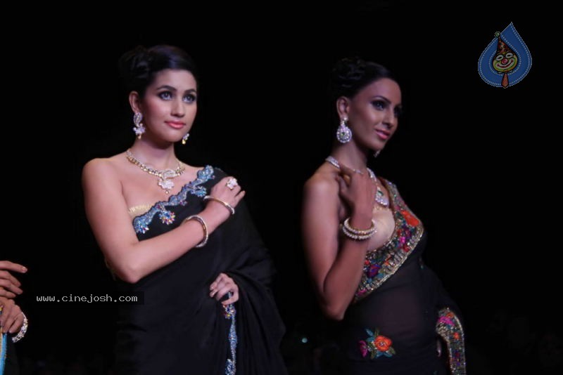 Celebs Walk the Ramp at IIJW 2011 Fashion Show Day 2 - 104 / 113 photos