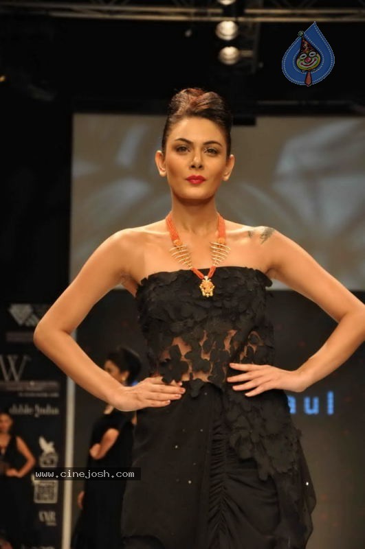 Celebs Walk the Ramp at IIJW 2011 Fashion Show Day 2 - 105 / 113 photos