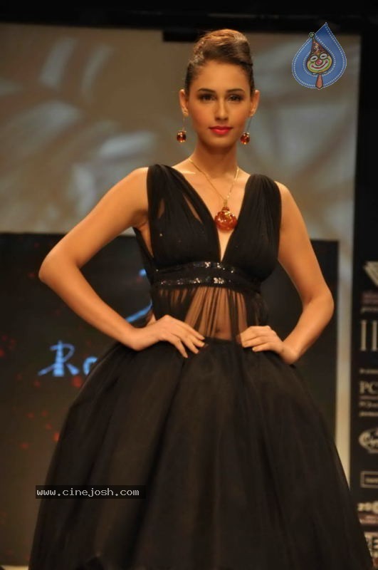 Celebs Walk the Ramp at IIJW 2011 Fashion Show Day 2 - 108 / 113 photos