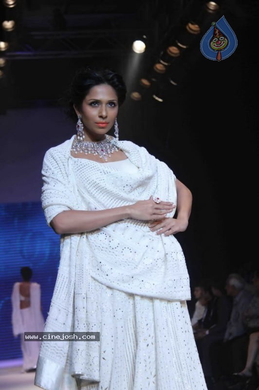 Celebs Walk the Ramp at IIJW 2011 Fashion Show Day 2 - 111 / 113 photos