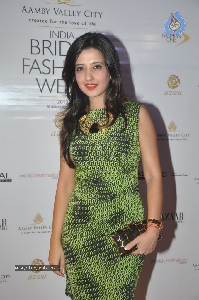 Celebs Walks the Ramp at AVIBW 2013 - 24 / 152 photos