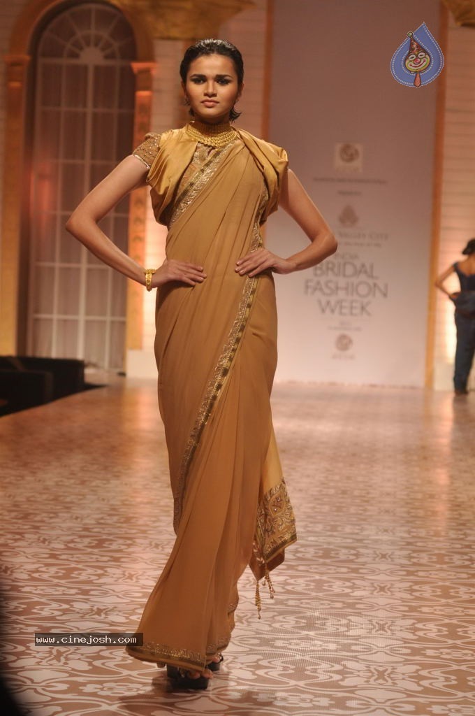 Celebs Walks the Ramp at AVIBW 2013 - 26 / 152 photos