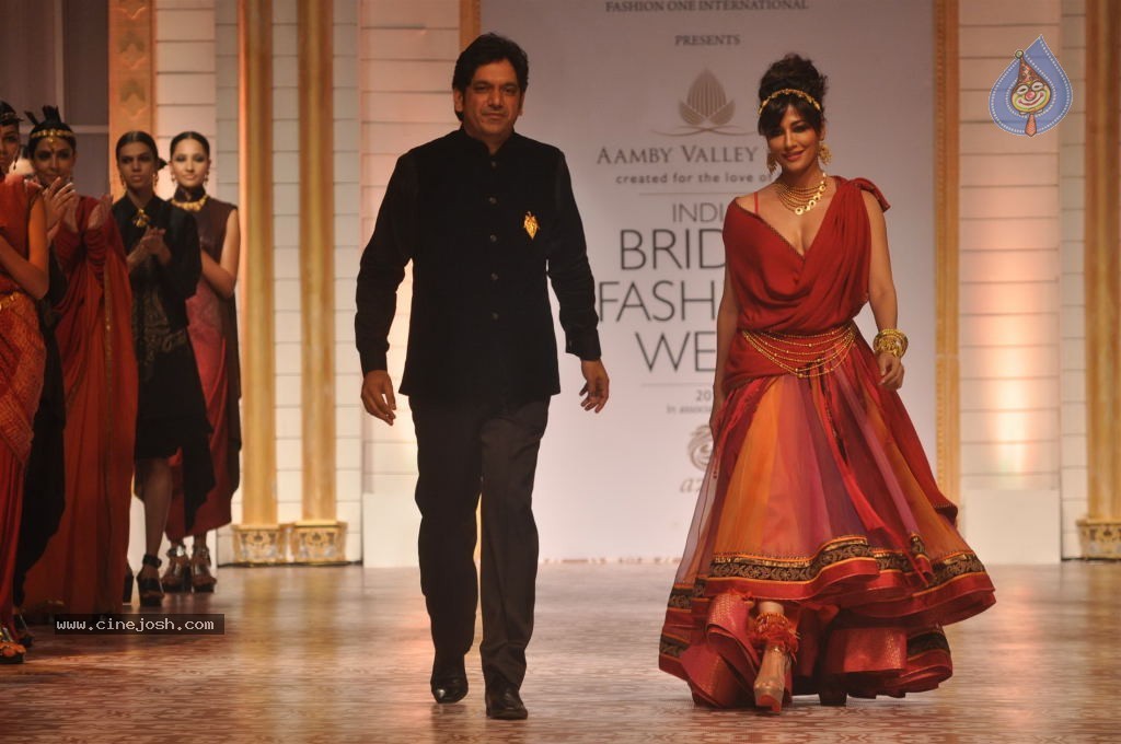 Celebs Walks the Ramp at AVIBW 2013 - 34 / 152 photos