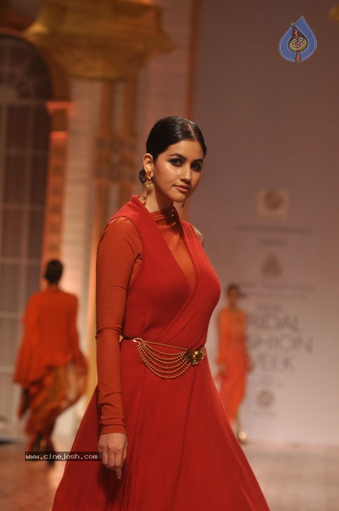 Celebs Walks the Ramp at AVIBW 2013 - 38 / 152 photos