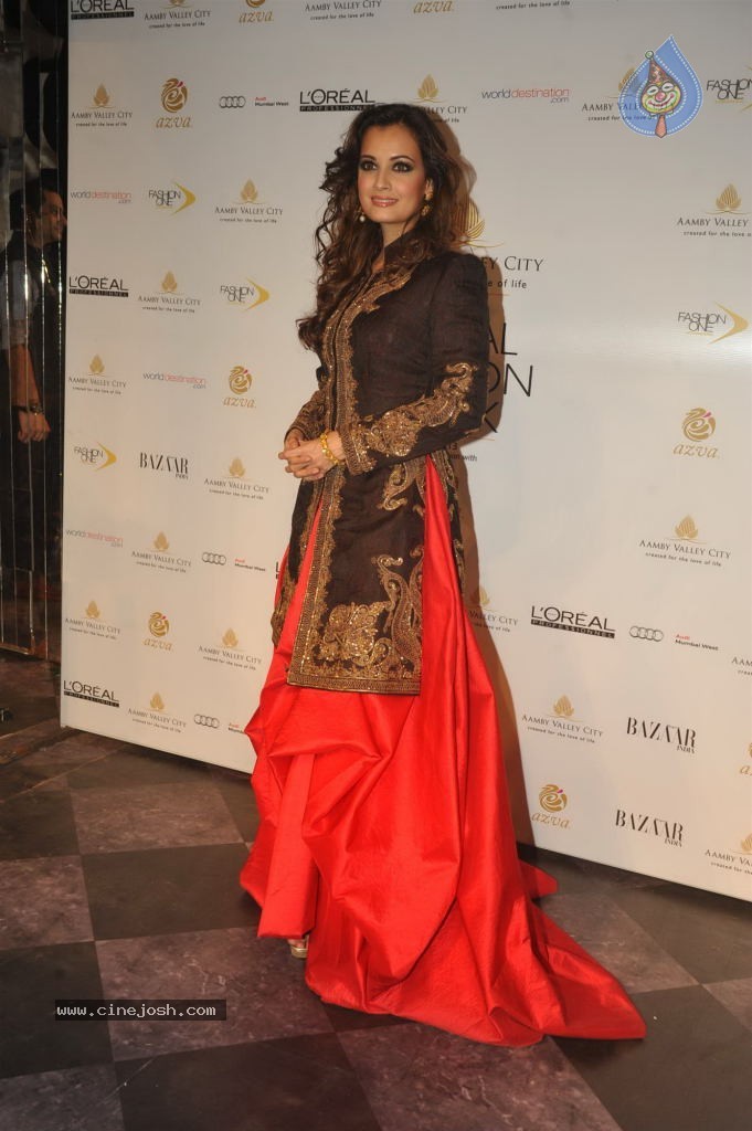 Celebs Walks the Ramp at AVIBW 2013 - 63 / 152 photos