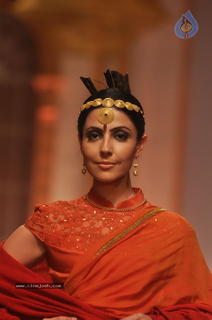Celebs Walks the Ramp at AVIBW 2013 - 66 / 152 photos