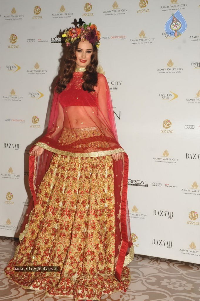Celebs Walks the Ramp at AVIBW 2013 - 76 / 152 photos