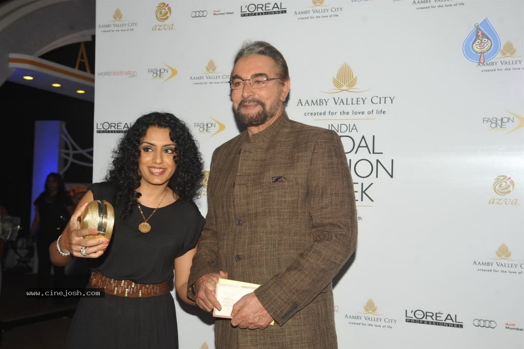 Celebs Walks the Ramp at AVIBW 2013 - 93 / 152 photos