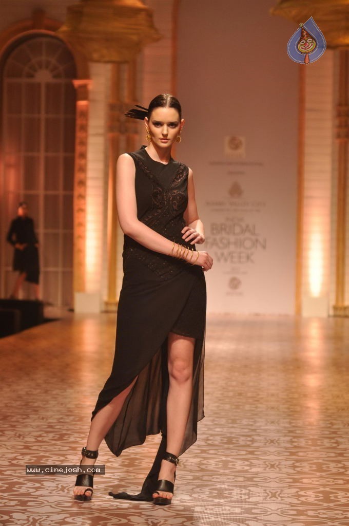 Celebs Walks the Ramp at AVIBW 2013 - 97 / 152 photos