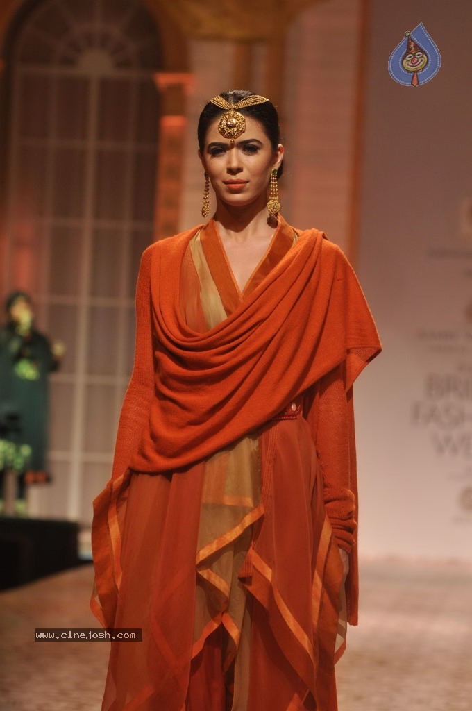 Celebs Walks the Ramp at AVIBW 2013 - 140 / 152 photos