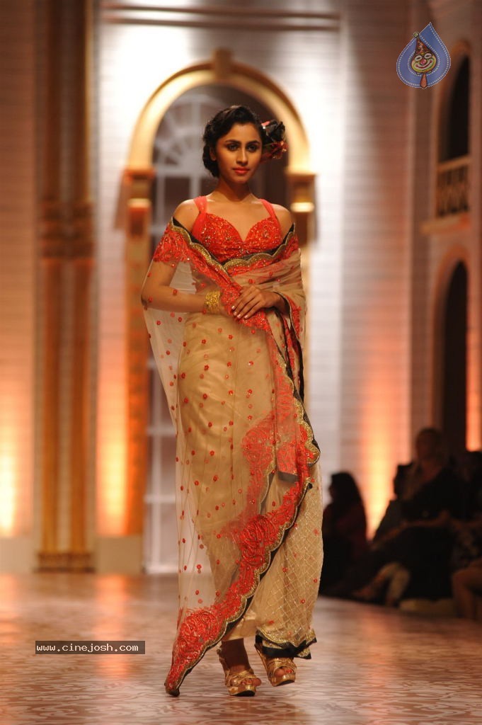Celebs Walks the Ramp at AVIBW 2013 - 142 / 152 photos