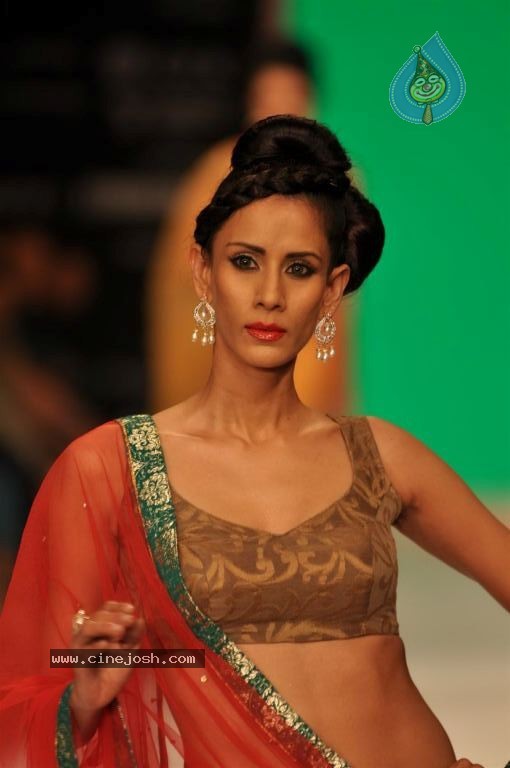 Celebs Walks the Ramp at IIJW 2012 - 6 / 297 photos