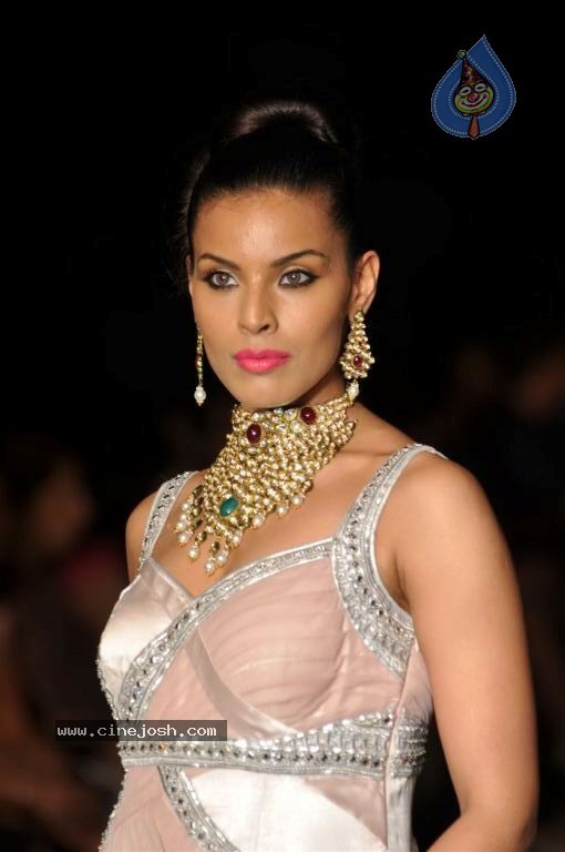 Celebs Walks the Ramp at IIJW 2012 - 15 / 297 photos