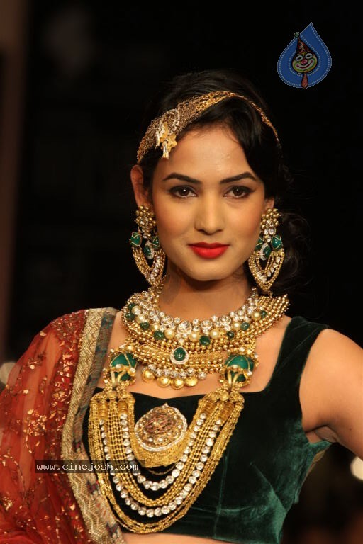 Celebs Walks the Ramp at IIJW 2012 - 19 / 297 photos