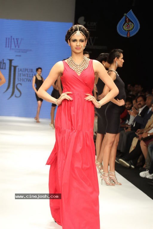 Celebs Walks the Ramp at IIJW 2012 - 35 / 297 photos