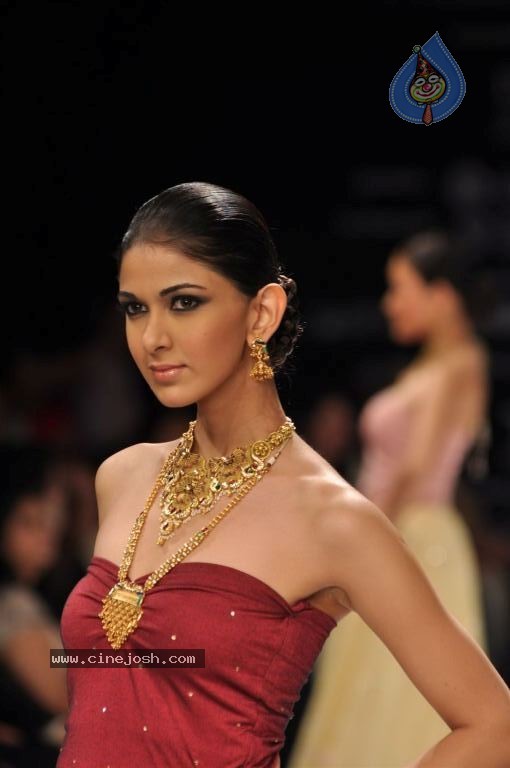 Celebs Walks the Ramp at IIJW 2012 - 86 / 297 photos