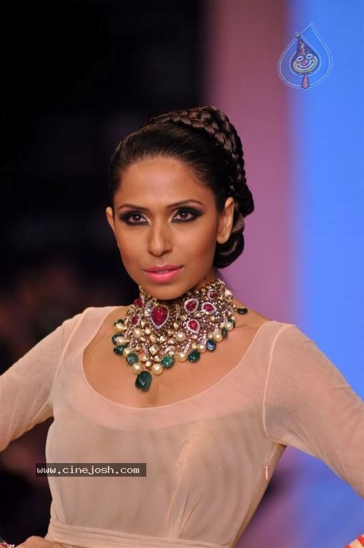 Celebs Walks the Ramp at IIJW 2012 - 103 / 297 photos