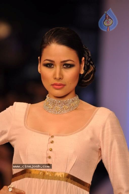 Celebs Walks the Ramp at IIJW 2012 - 104 / 297 photos