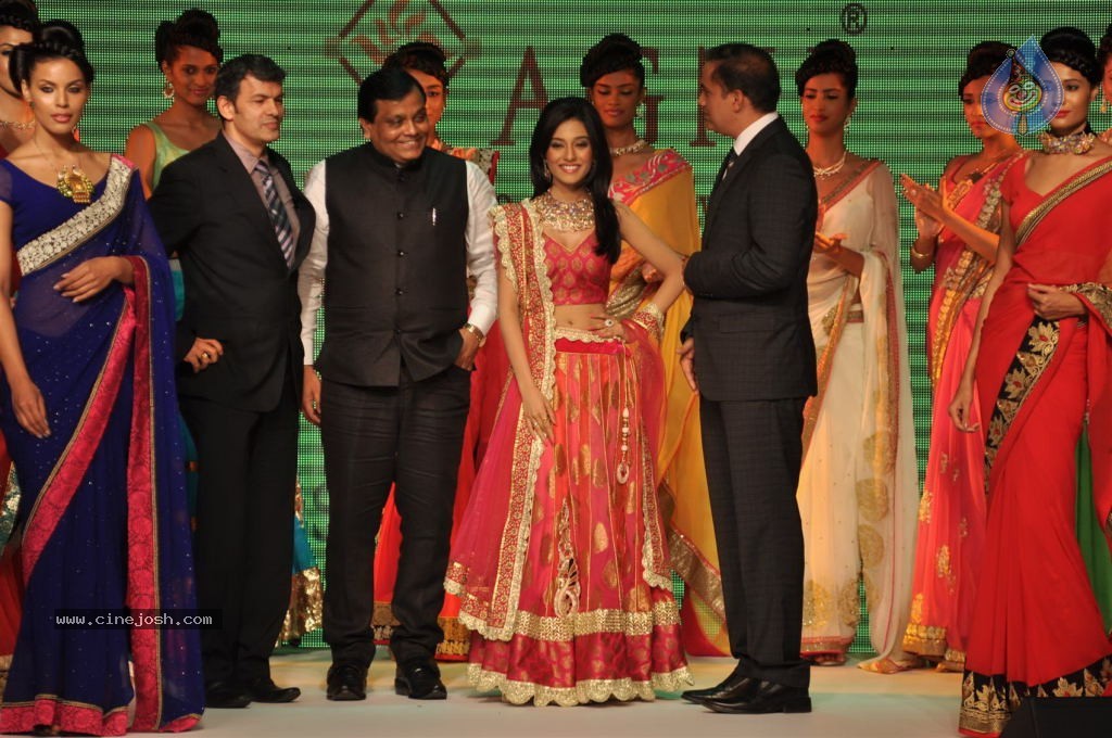 Celebs Walks the Ramp at IIJW 2012 - 109 / 297 photos