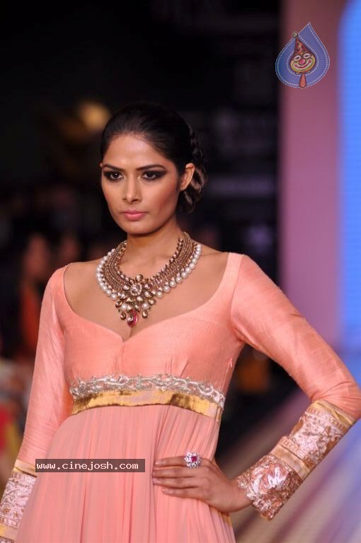 Celebs Walks the Ramp at IIJW 2012 - 117 / 297 photos