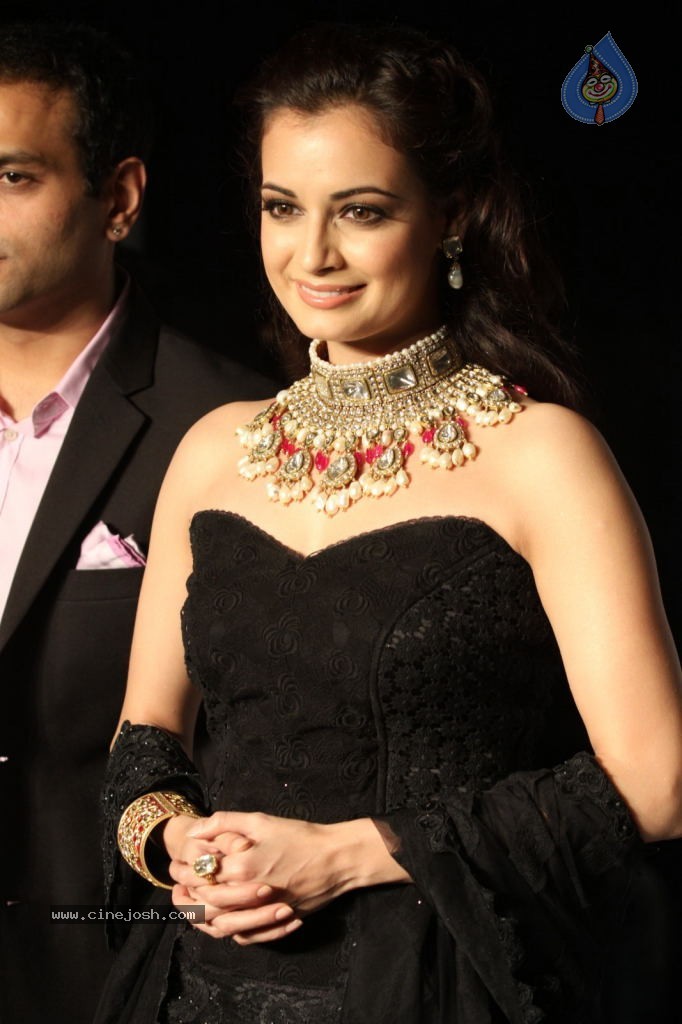Celebs Walks the Ramp at IIJW 2012 - 126 / 297 photos