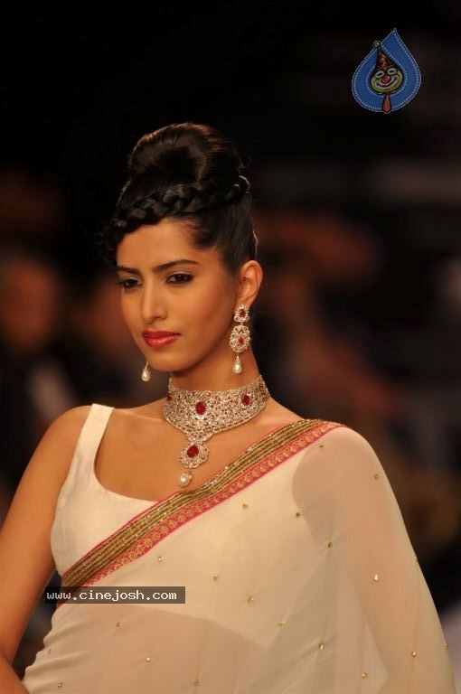 Celebs Walks the Ramp at IIJW 2012 - 132 / 297 photos