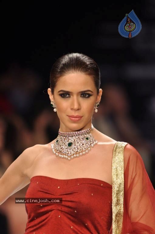 Celebs Walks the Ramp at IIJW 2012 - 136 / 297 photos
