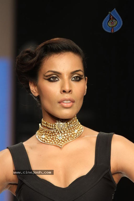 Celebs Walks the Ramp at IIJW 2012 - 145 / 297 photos