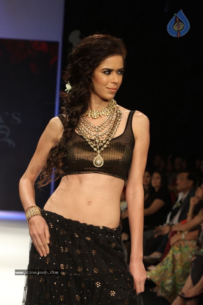 Celebs Walks the Ramp at IIJW 2012 - 164 / 297 photos